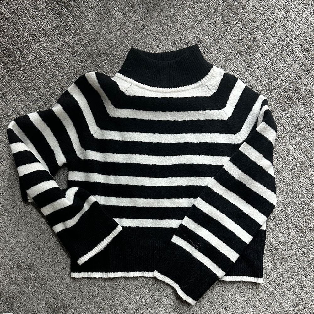 Black and White Striped Turtleneck Sweater